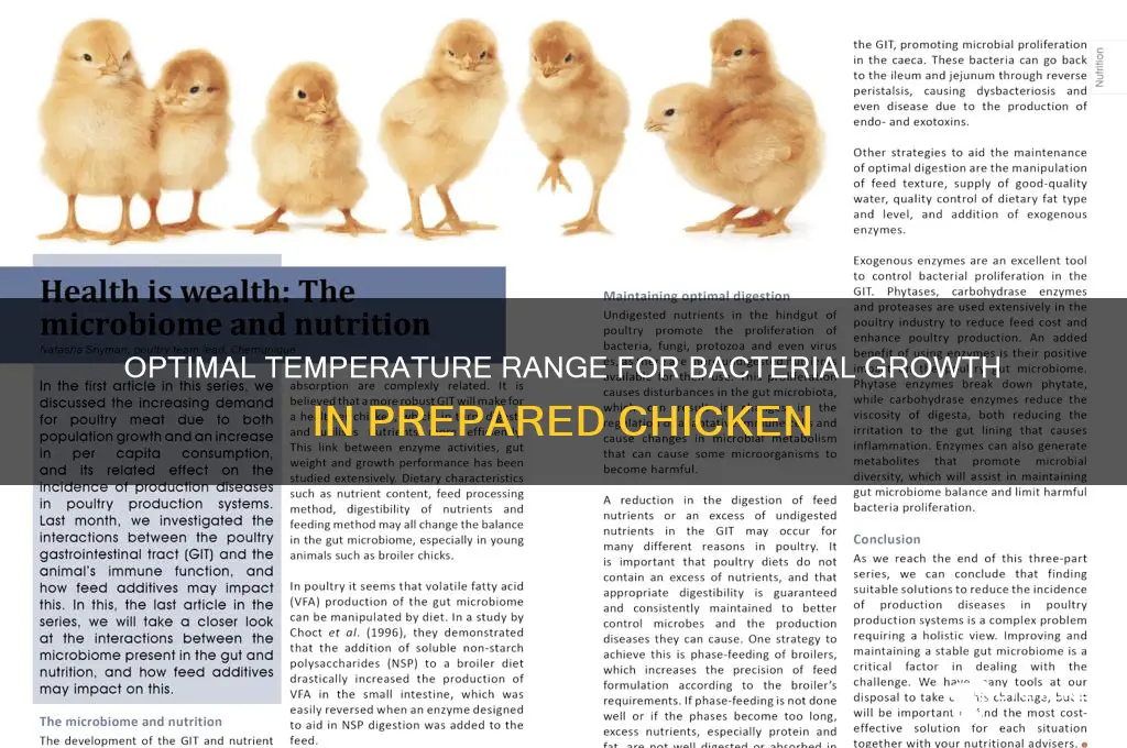 what temp causes bacteriaql growth in prepared chicken