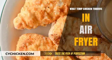 Perfect Air Fryer Chicken Tenders: Ideal Temperature & Cooking Tips