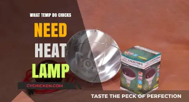 Optimal Heat Lamp Temperature for Healthy and Happy Baby Chicks
