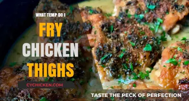 Perfect Crispy Chicken Thighs: Ideal Frying Temperature Guide