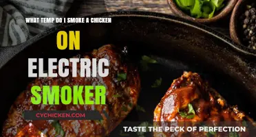Smoking Chicken: Electric Smoker Temperature Guide