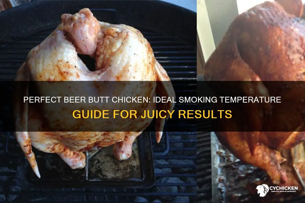 what temp do i smoke beer butt chicken
