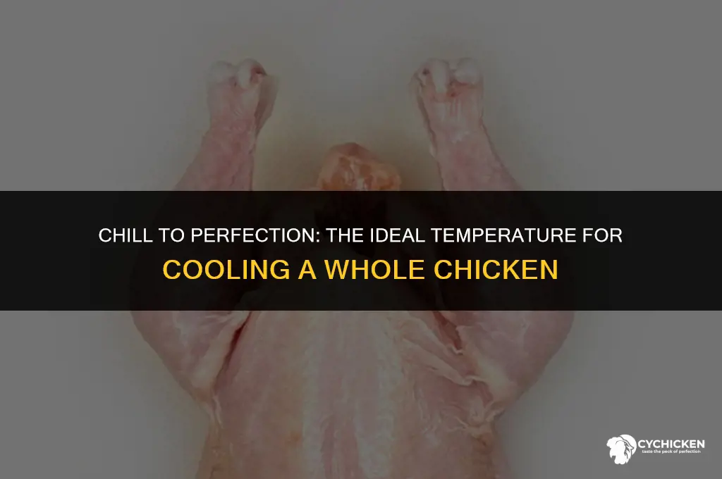 what temp do you cool a whole chicken to