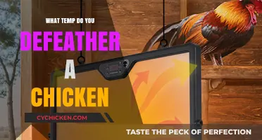 Optimal Temperature for Defeathering Chickens: A Complete Guide