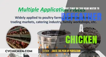 The Ideal Temperature for Chicken Defeathering
