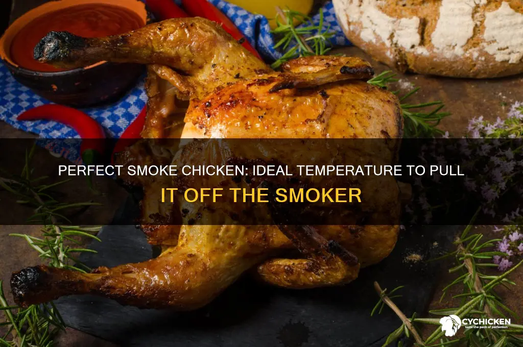 what temp do you pull smoke chicken