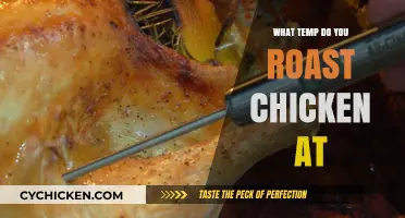 Perfect Roast Chicken: Ideal Temperature for Juicy, Golden Results