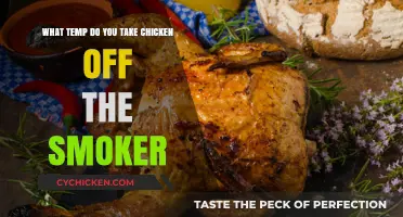 Smoking Chicken: Ideal Temperature to Take it Off