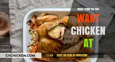 Perfect Chicken Temperature: Safe, Juicy, and Delicious Cooking Guide