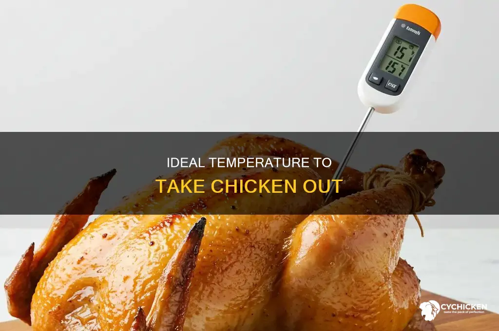 what temp do you want to take chicken out
