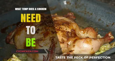 Perfect Chicken Temperature: Safe Cooking Guide for Juicy Results