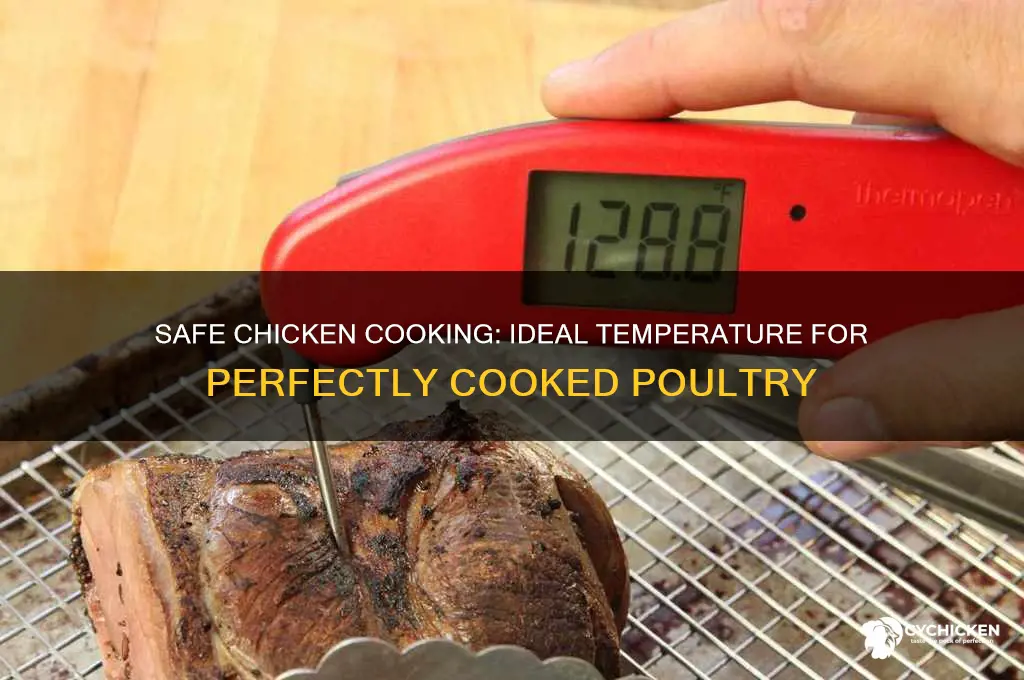what temp does chicken have to b