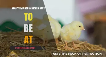 Perfectly Cooked Chicken: Ideal Temperature for Safe and Juicy Results