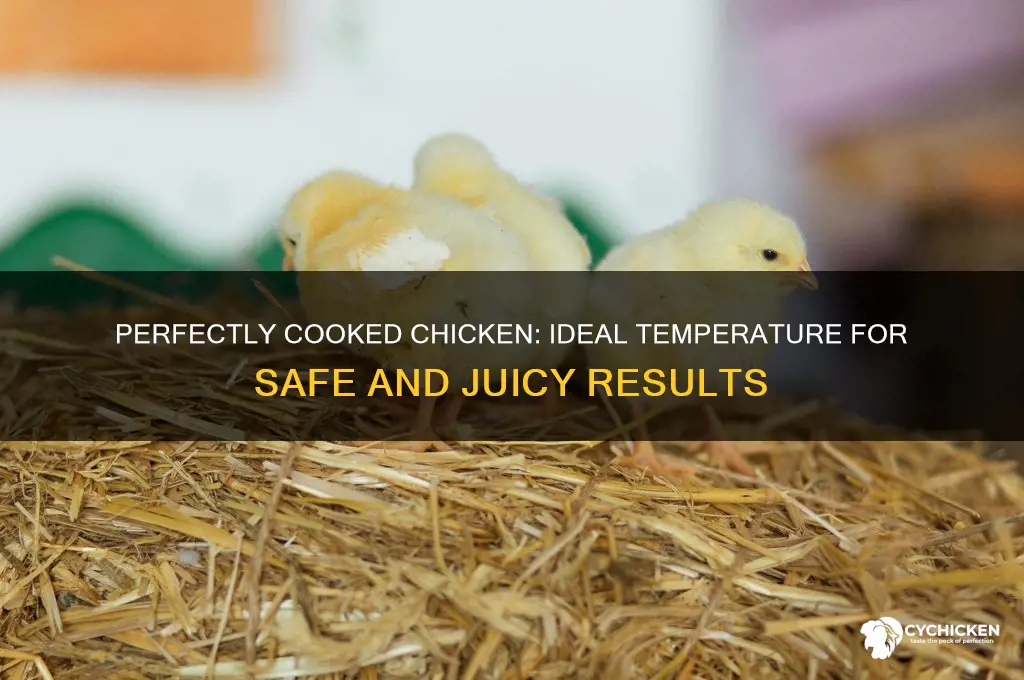 what temp does chicken have to be at