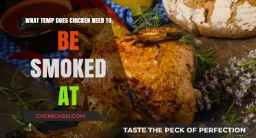 Smoking Chicken: The Right Temperature for Juicy Meat