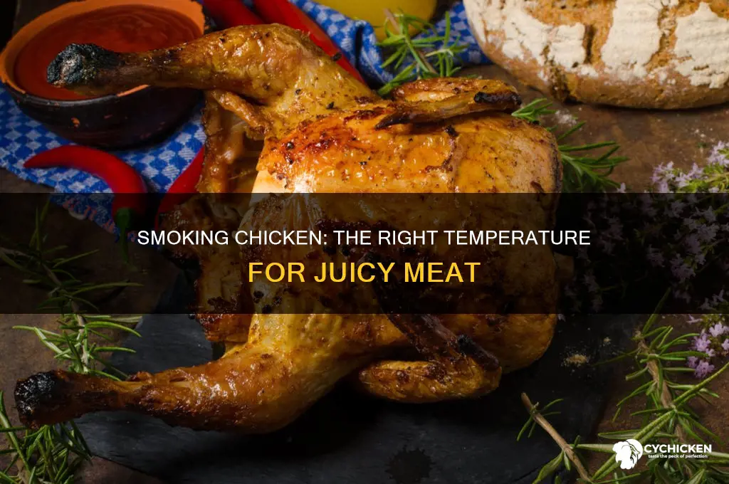 what temp does chicken need to be smoked at