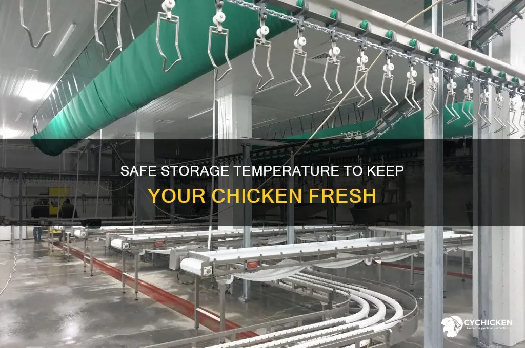 what temp does chicken need to be stored at