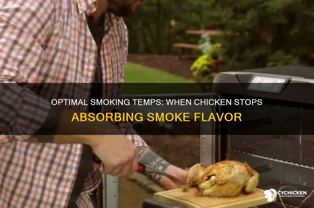 what temp does chicken stop taking smoke