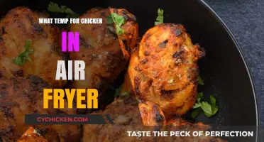 Perfect Air Fryer Chicken: Ideal Temperature for Juicy Results