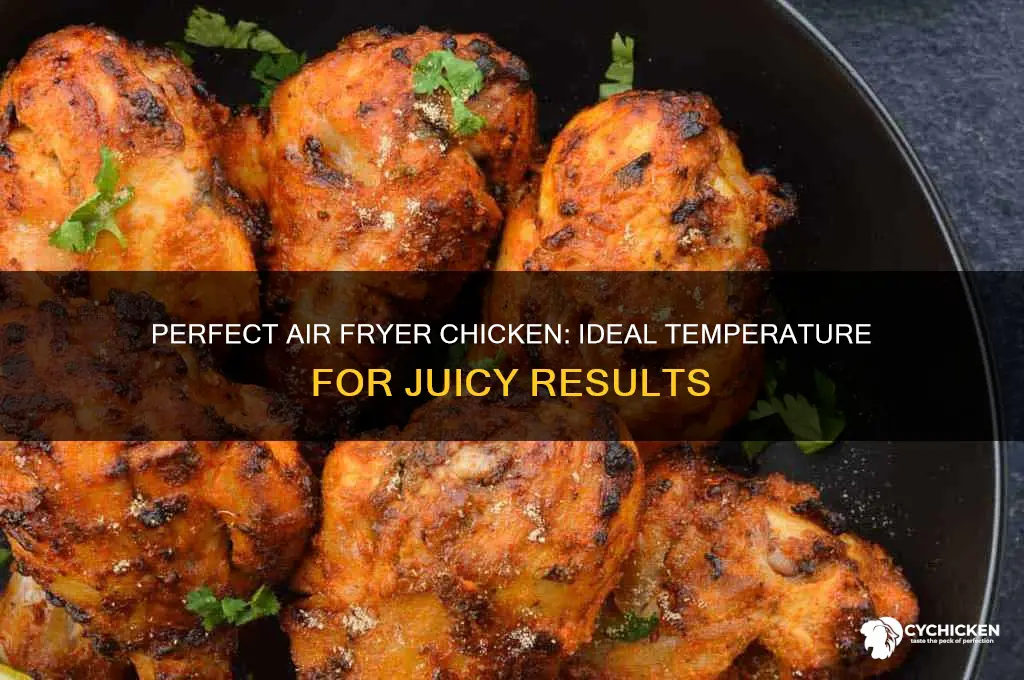 what temp for chicken in air fryer
