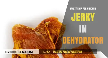 Perfect Chicken Jerky: Ideal Dehydrator Temperature Guide for Delicious Results