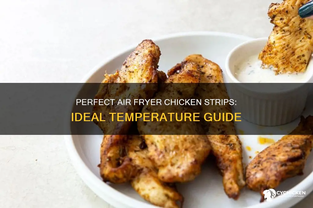 what temp for chicken strips in air fryer