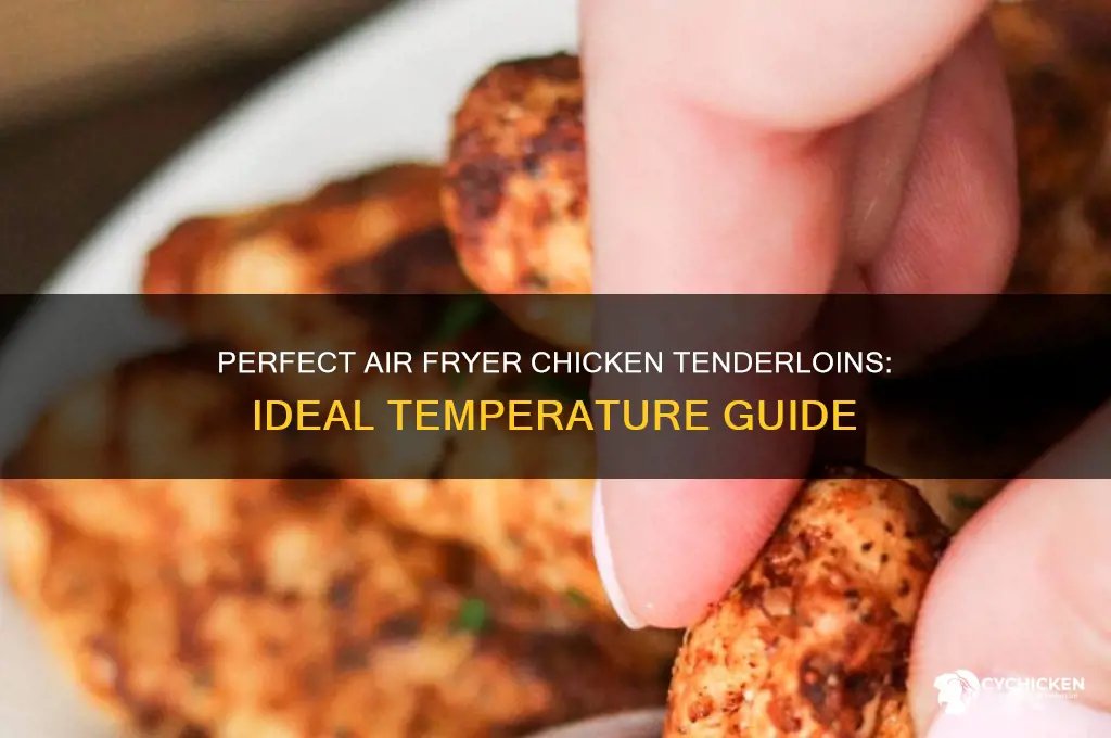 what temp for chicken tenderloins in air fryer