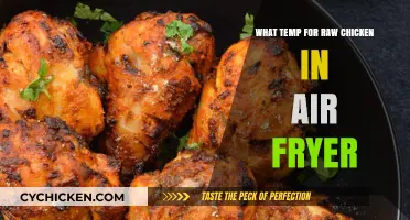 Perfect Air Fryer Temperature for Juicy, Safe Raw Chicken Every Time