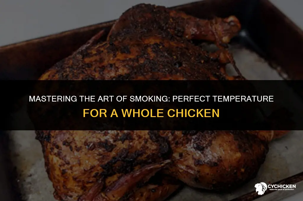 what temp for whole chicken in smoker