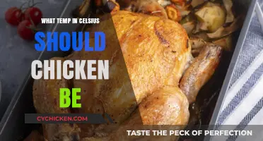 Perfect Chicken Temperature: Ideal Celsius for Safe, Juicy Results