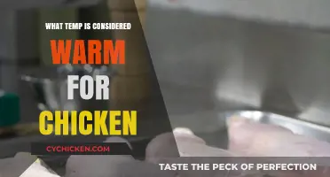 Ideal Chicken Warmth: Understanding the Perfect Temperature for Comfort