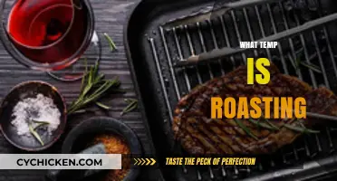 Mastering Roasting: Ideal Temperatures for Perfectly Cooked Meals