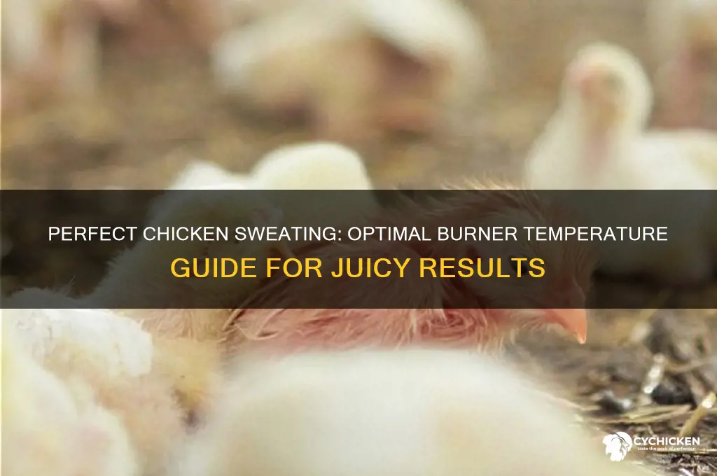 what temp on burner to sweat chicken
