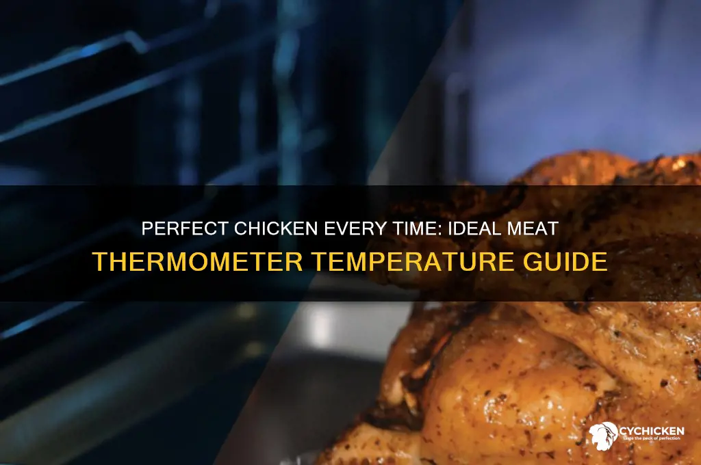 what temp on meat thermometer for chicken