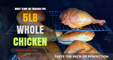 Mastering the Perfect Traeger Temperature for a Juicy 5-Pound Chicken