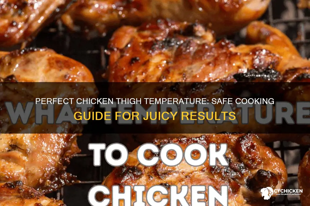 what temp should a chicken thigh be