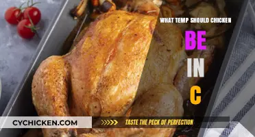 Perfect Chicken Temperature: Ideal Cooking Degrees in Celsius Guide