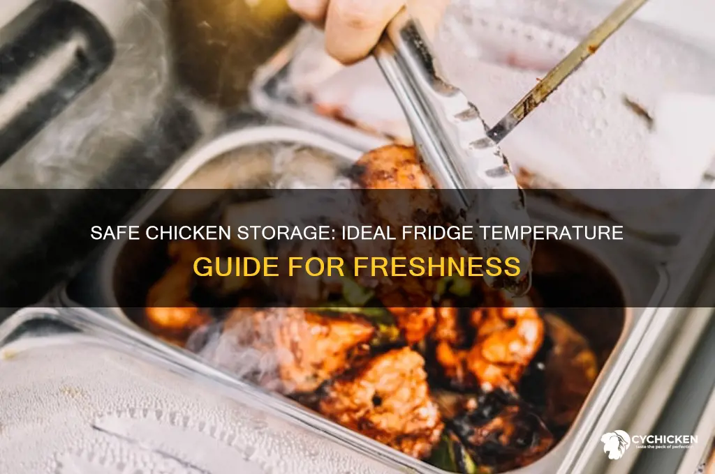 what temp should chicken be in fridge