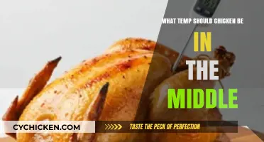 Perfect Chicken: Ideal Internal Temperature for Safe and Juicy Results