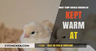 Ideal Chicken Warming Temperature: Safe Practices for Delicious Results