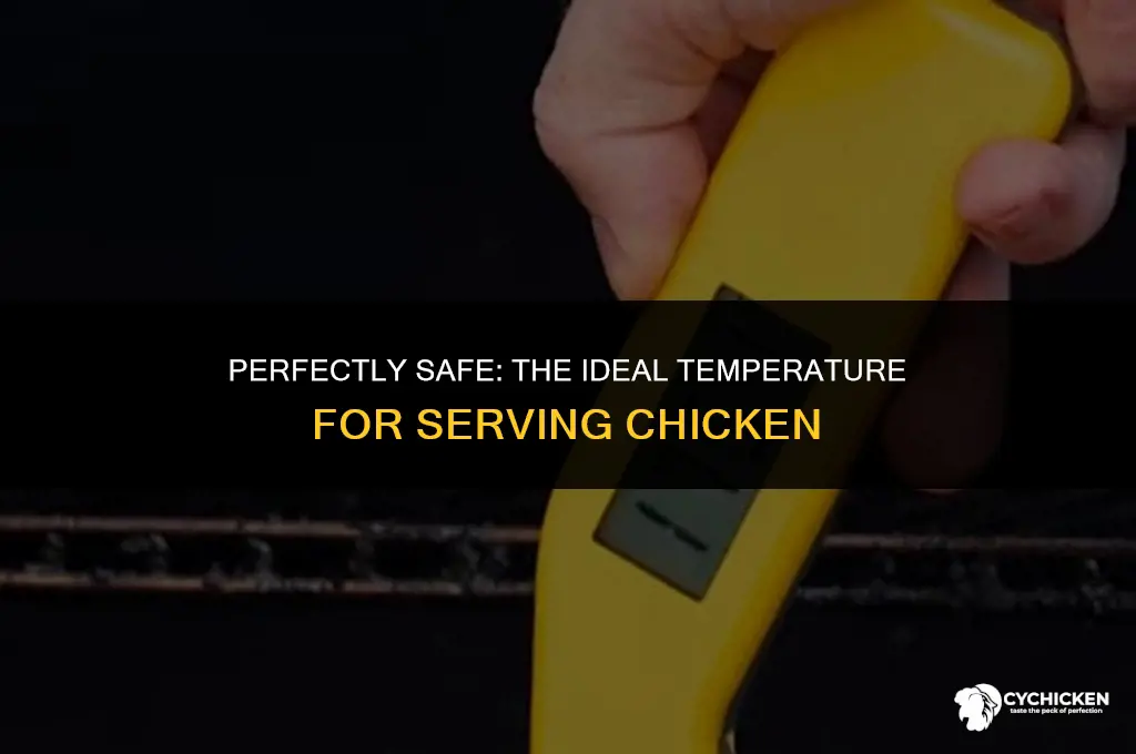 what temp should chicken be served at