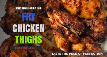 Perfect Air Fryer Chicken Thighs: Ideal Temperature for Juicy Results