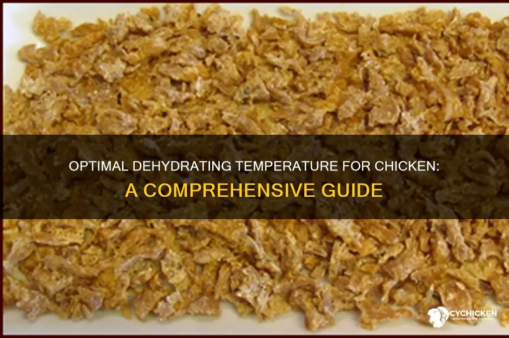 what temp should i dehydrate chicken at