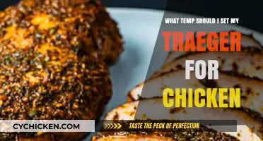 The Perfect Traeger Temperature for Chicken