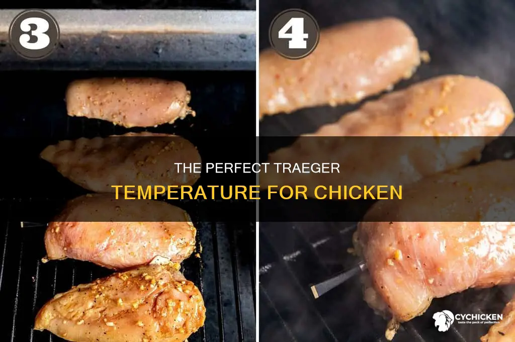 what temp should i set my traeger for chicken