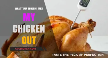Perfect Chicken Temperature: When to Take It Out of the Oven