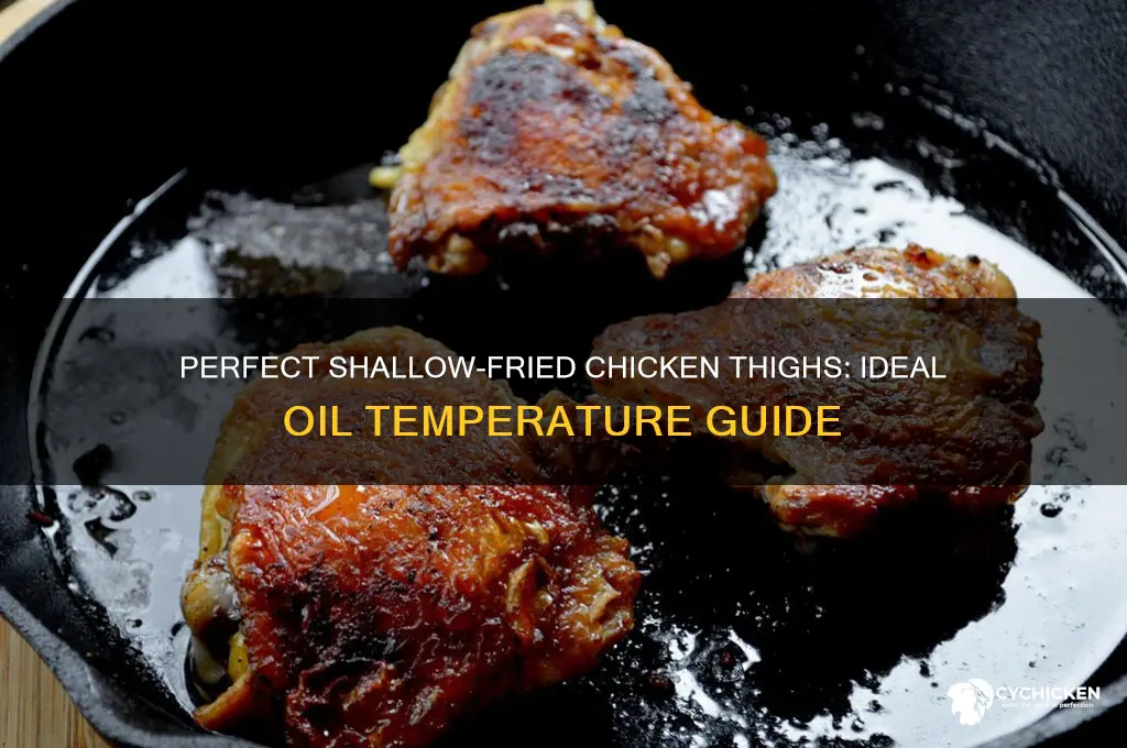 what temp should oil be for shallow frying chicken thighs