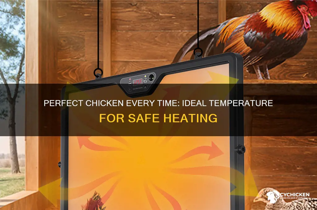 what temp should you heat up chicken