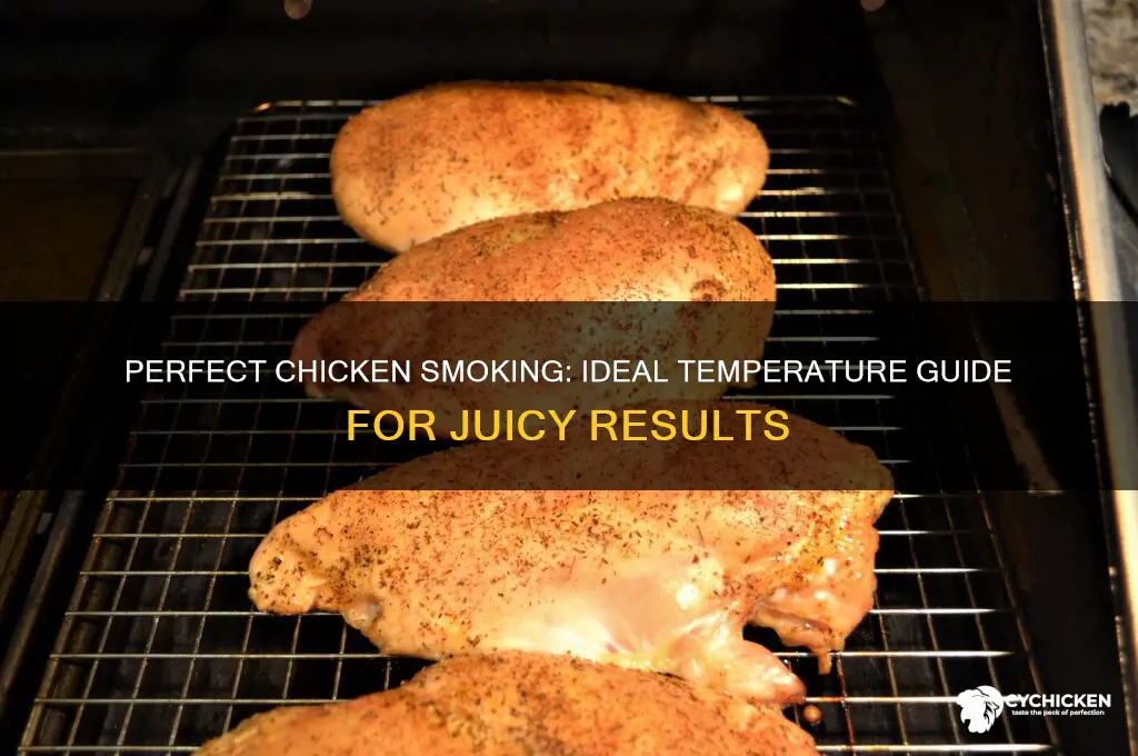 what temp should you smoke chicken at