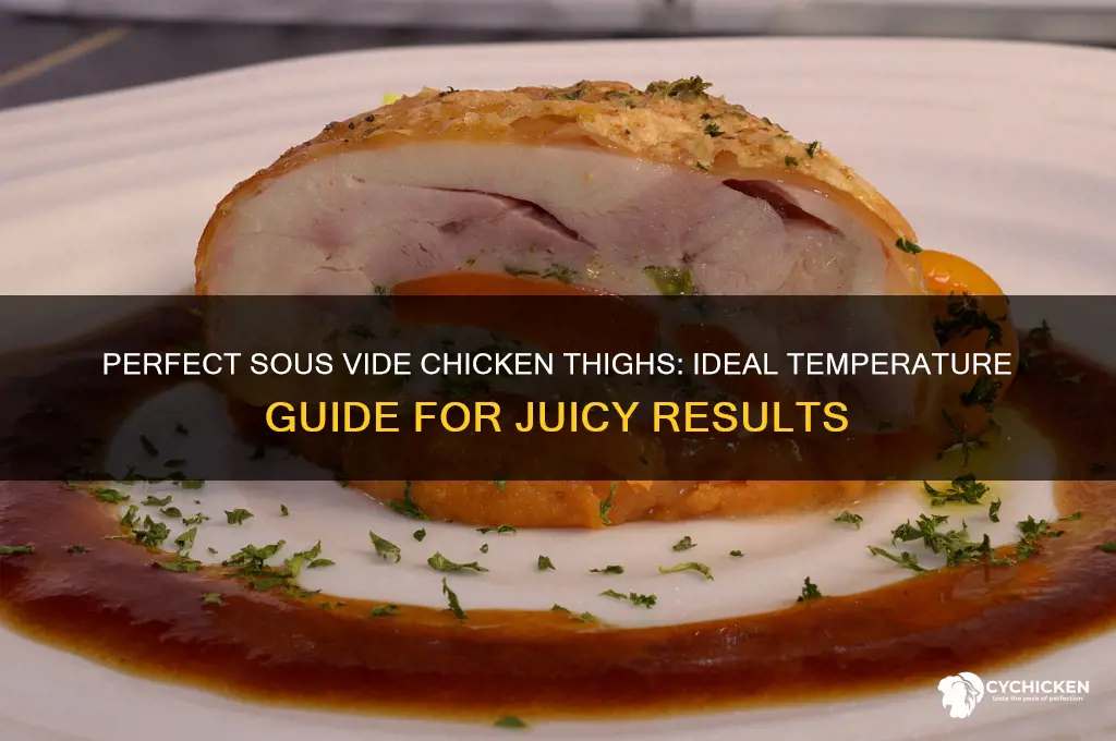 what temp should you sous vide chicken thighs